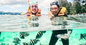 Beraktifitas Snorkling Gili Nanggu bersama ikan cantiik di perairan yang Gili Nanggu yang jernih
