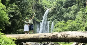 Pasangan berdiri di atas batang kayu besar dengan latar Air Terjun Tiu Kelep yang megah dan rimbunan hutan hijau dalam tour tiu kelep lombok
