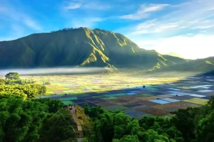 Pemandangan Bukit Selong Sembalun dengan hamparan sawah berwarna-warni, destinasi favorit dalam paket Tour Tiu Kelep Lombok.